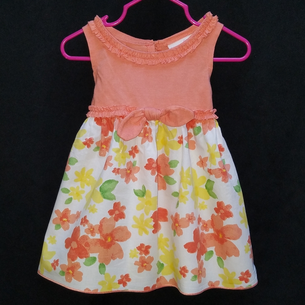 Baby Girls Spring or Summer Sleeveles Floral Dress